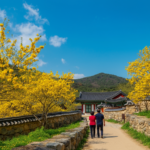 [봄나들이] 구례 산수유꽃축제 사랑의 계절을 열다 2026 일정 및 주차 완벽 가이드